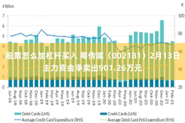 股票怎么加杠杆买入 粤传媒（002181）2月13日主力资金净卖出901.26万元