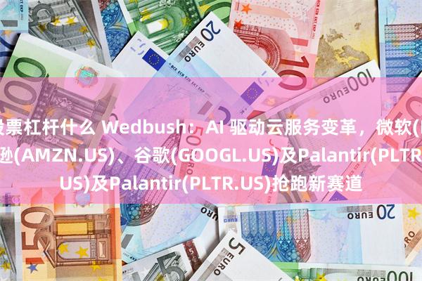 股票杠杆什么 Wedbush：AI 驱动云服务变革，微软(MSFT.US)、亚马逊(AMZN.US)、谷歌(GOOGL.US)及Palantir(PLTR.US)抢跑新赛道