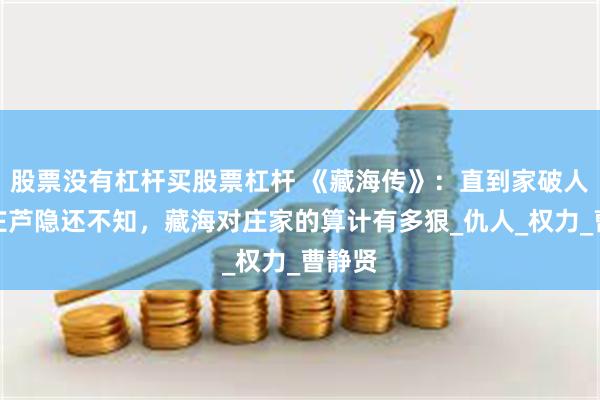 股票没有杠杆买股票杠杆 《藏海传》：直到家破人亡，庄芦隐还不知，藏海对庄家的算计有多狠_仇人_权力_曹静贤